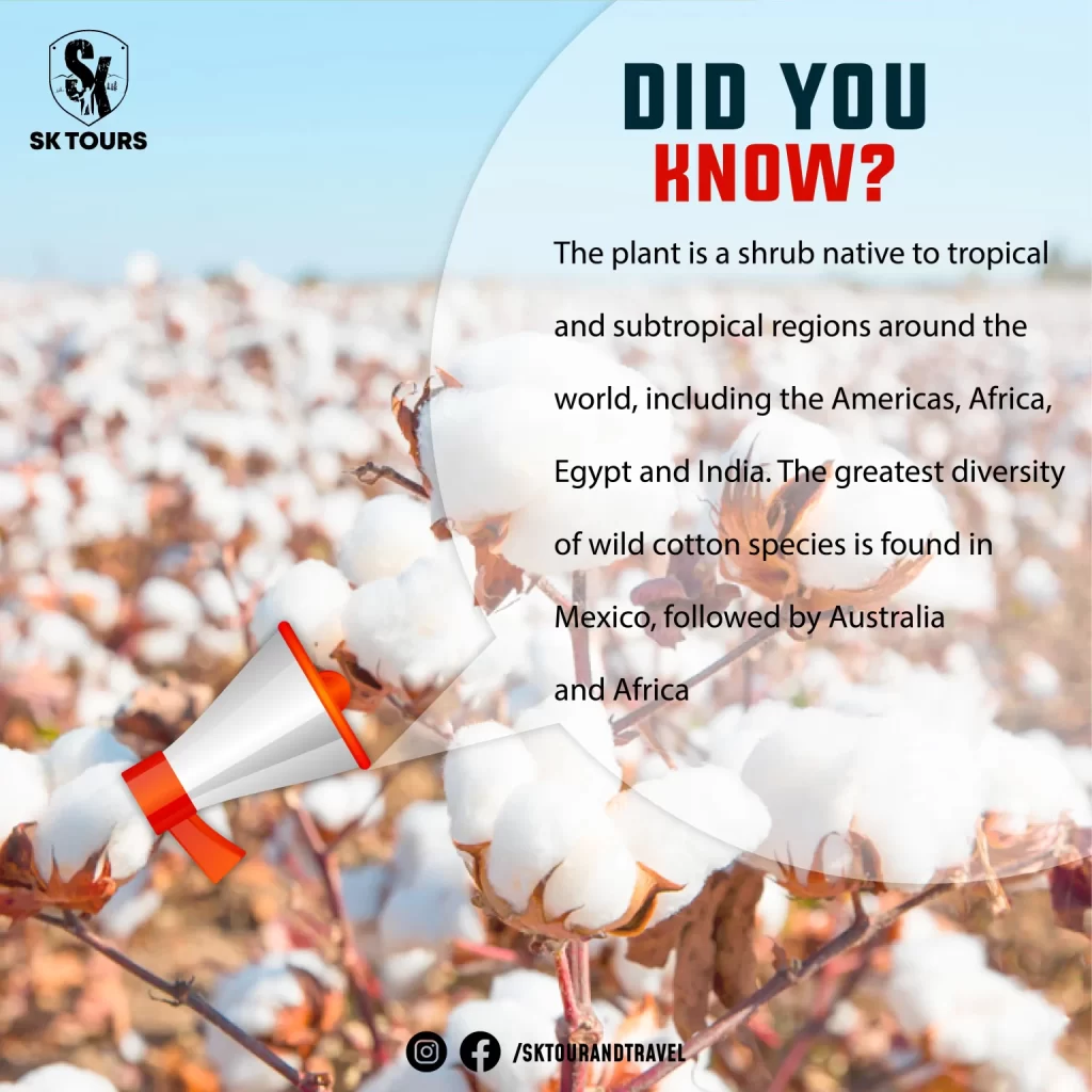sk-tours-facts