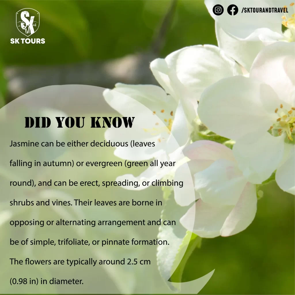 sk-tours-facts