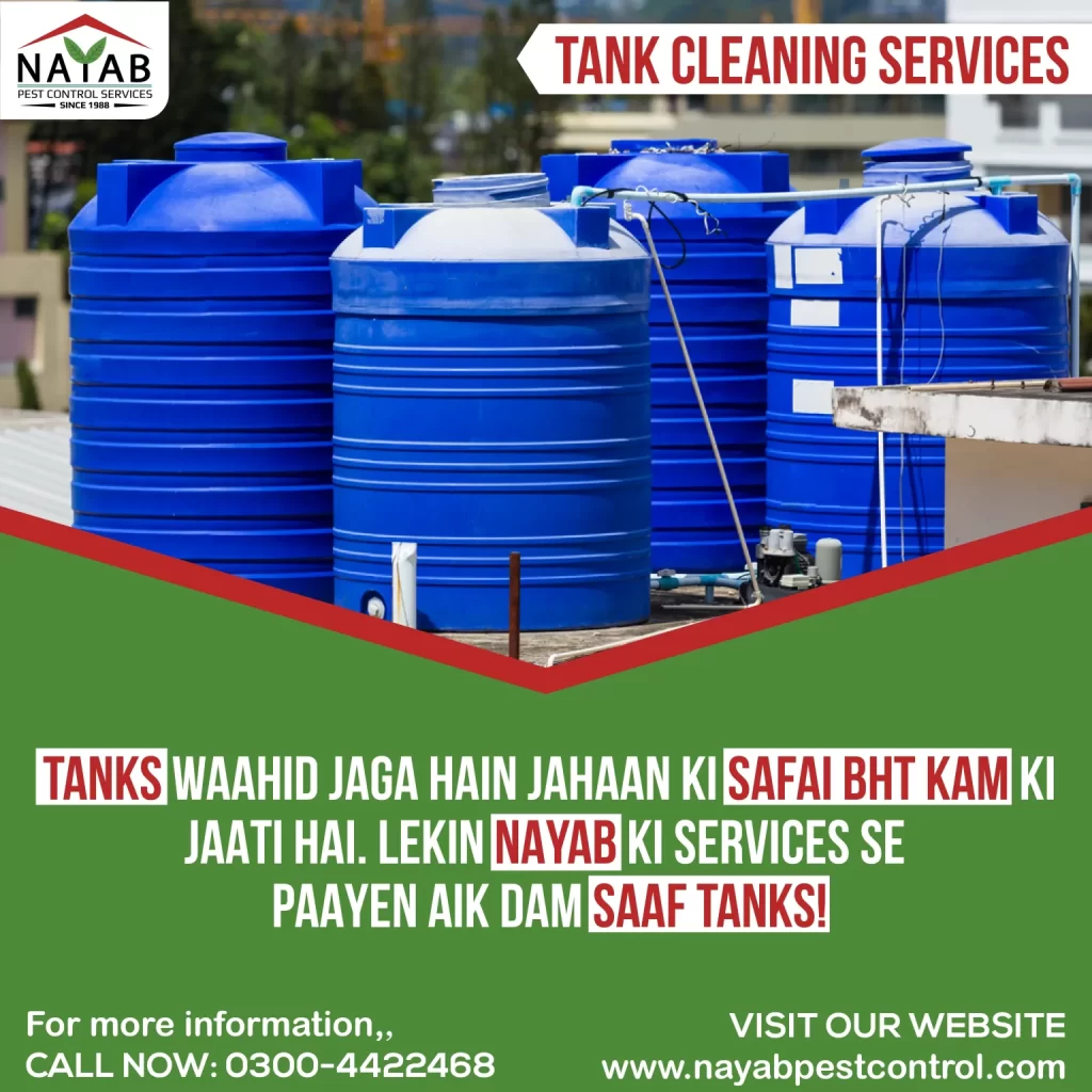 Nayab-Pest-Control-10