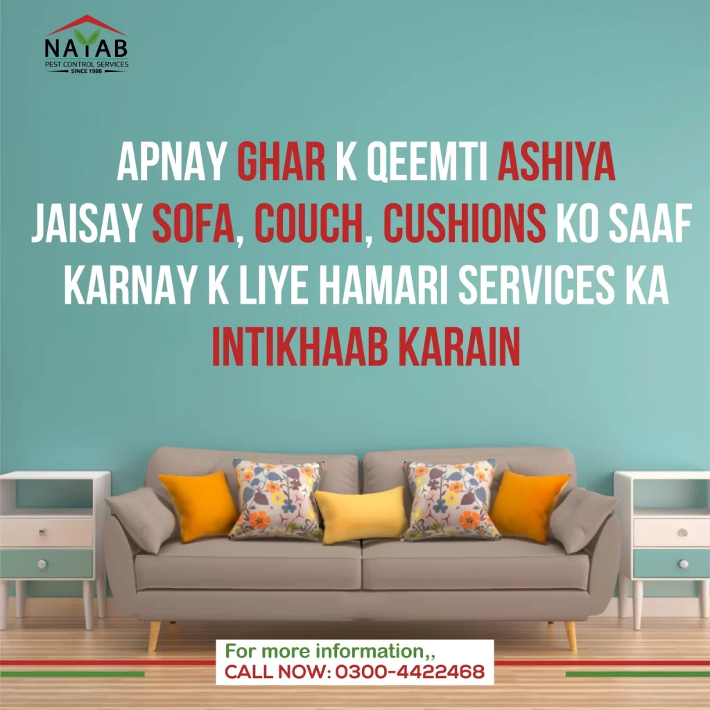 Nayab-Pest-Control-6