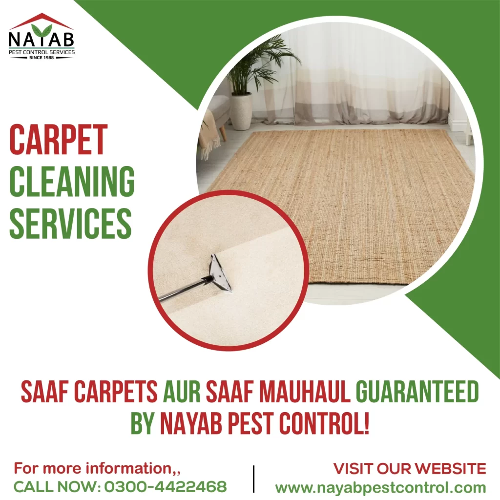 Nayab-Pest-Control-8