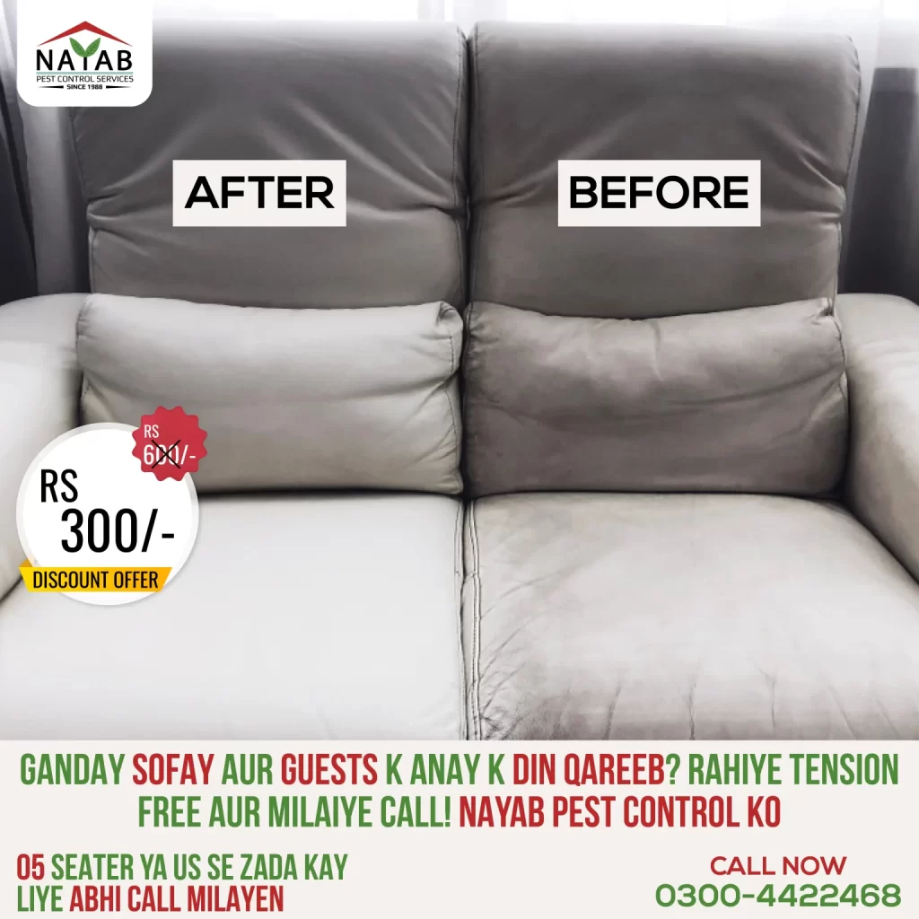 Nayab-Pest-Control-9