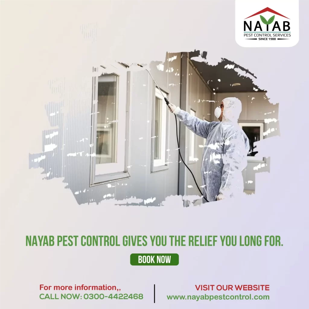 Nayab-Pest-Control-2