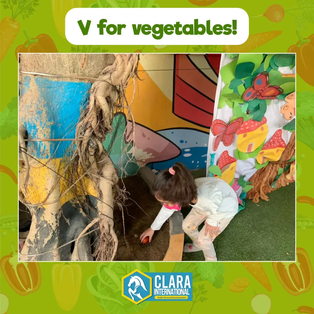 vegetables-clara-international