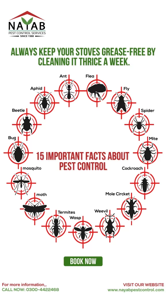 Nayab-Pest-Story