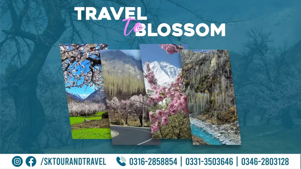 Sk-tours-blossom