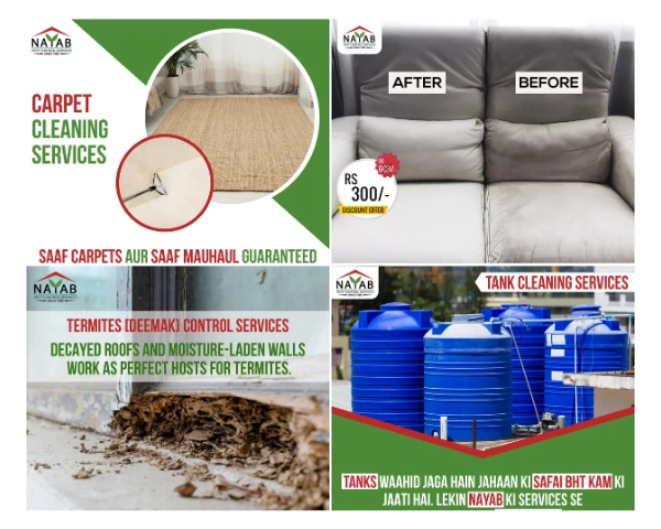 nayab-pest-control-portfolio